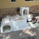 Baby gym Alaska personalizado photo review